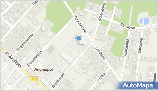 GLS - Punkt odbioru, Brzezinska 4, Andrespol 95-020