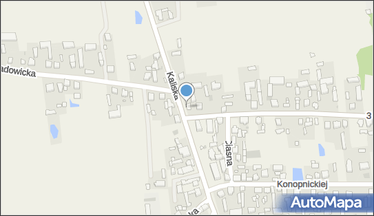 GLS - Punkt odbioru, Kaliska 3A, Godziesze Wielkie 62-872