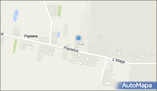 Huzar - Stacja paliw, Pasieka 2, Żychlin