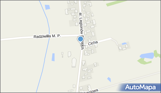 Hydrant, Aleja Legionów Polskich, Nieborów 99-416 - Hydrant