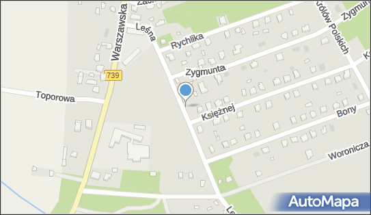 Hydrant, Leśna 11, Osieck 08-445 - Hydrant