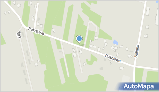 Hydrant, Pokojowa 32, Otwock 05-400 - Hydrant