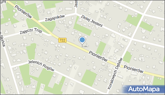 Hydrant, Pionierów722, Zalesie Górne 05-540 - Hydrant