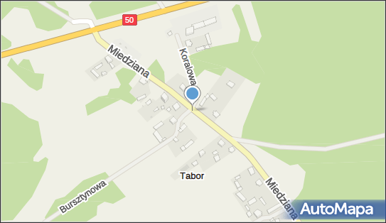 Hydrant, DW 862, Tabor - Hydrant