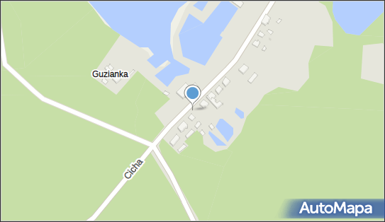 Hydrant, Guzianka, Ruciane-Nida 12-220 - Hydrant