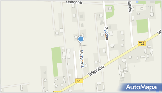 Hydrant, Muzyczna, Duchnów 05-462 - Hydrant