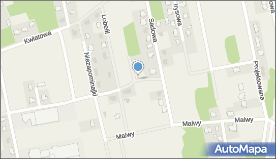 Hydrant, Aleja Kwiatów Polskich, Wiązowna 05-462 - Hydrant