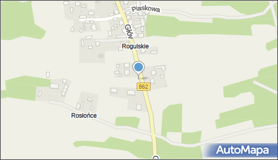 Hydrant, DW 862, Rogulskie - Hydrant