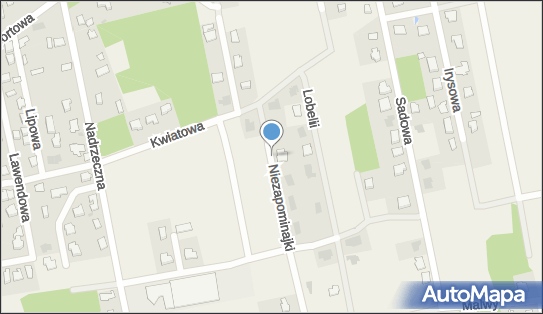 Hydrant, Niezapominajki 3, Wiązowna 05-462 - Hydrant