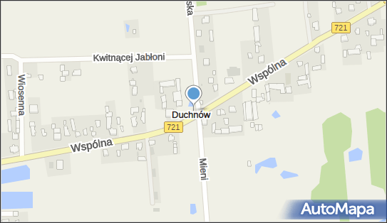 Hydrant, Wspólna 142, Duchnów 05-462 - Hydrant