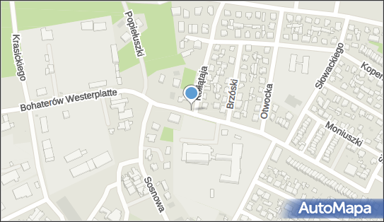 Hydrant, Hugona Kołłątaja 9A, Karczew - Hydrant