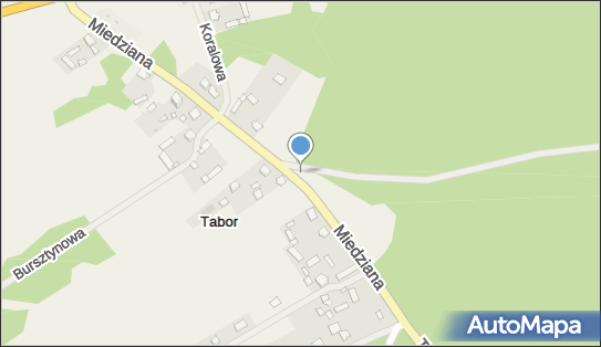 Hydrant, DW 862, Tabor - Hydrant