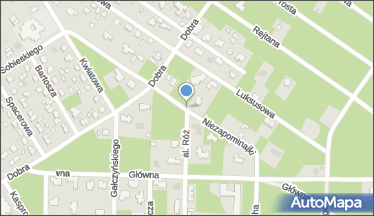 Hydrant, Niezapominajki 6, Józefów - Hydrant