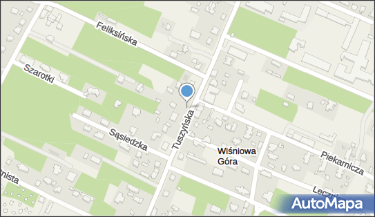 Hydrant, Tuszyńska, Wiśniowa Góra 95-020 - Hydrant