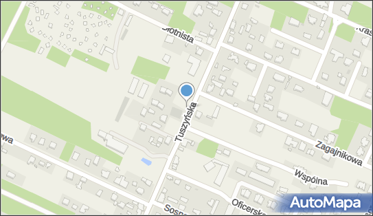 Hydrant, Tuszyńska 101, Wiśniowa Góra 95-020 - Hydrant