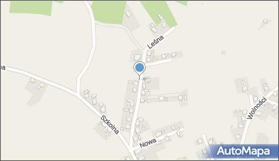 Nadziemny, Leśna, Budziska 47-420 - Hydrant