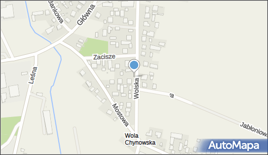 Nadziemny, Wolska 22, Chynów - Hydrant