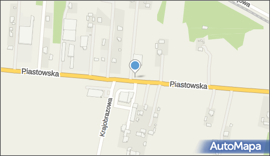 Nadziemny, Piastowska92, Wielgolas Brzeziński 05-074 - Hydrant