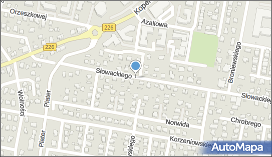 Nadziemny, Słowackiego Juliusza, Pruszcz Gdański 83-000 - Hydrant