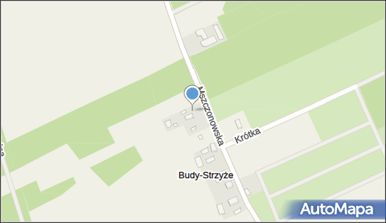 Nadziemny, Mszczonowska 10, Budy-Strzyże 96-320 - Hydrant