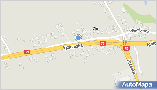 Nadziemny, Igołomska79, Kraków 31-983, 31-998 - Hydrant