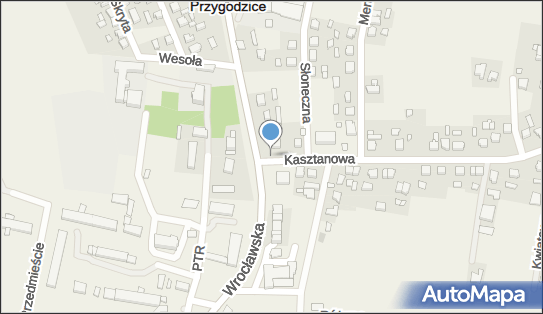 Nadziemny, Kasztanowa, Przygodzice 63-421 - Hydrant