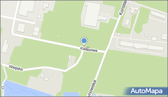 Nadziemny, Kwasowa, Zgierz 95-100 - Hydrant