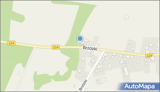 Nadziemny, Brzózki 35, Brzózki 72-022 - Hydrant