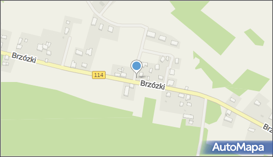 Nadziemny, Brzózki 8b, Brzózki 72-022 - Hydrant