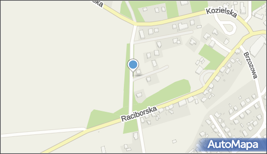 Nadziemny, Kozielska, Rudy 47-430 - Hydrant