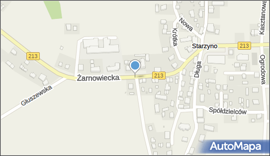 Nadziemny, DW213, Żarnowiecka, Starzyno 84-107 - Hydrant