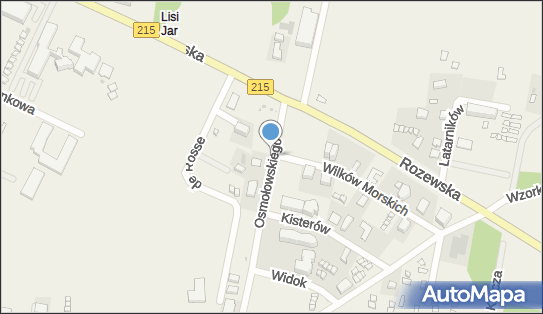 Nadziemny, Jerzego Osmołowskiego, Jastrzębia Góra 84-104 - Hydrant