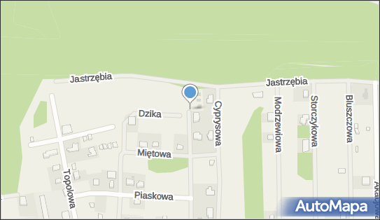 Nadziemny, Zielone Wzgórze, Mieroszyno 84-103 - Hydrant