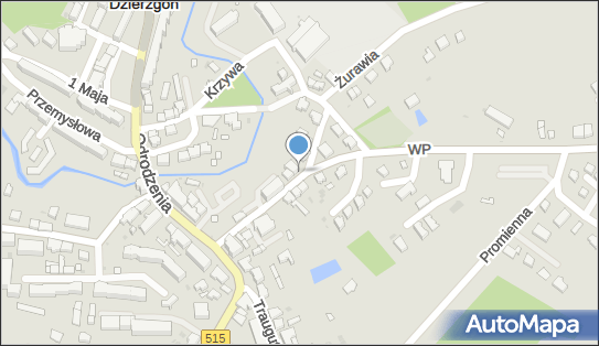 Podziemny, Wojska Polskiego 5, Dzierzgoń - Hydrant