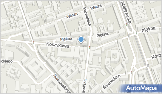 Podziemny, Koszykowa, Warszawa 00-553, 00-555, 00-562, 00-564, 00-646, 00-659, 00-660, 00-662, 00-667, 00-671, 00-673, 00-675 - Hydrant