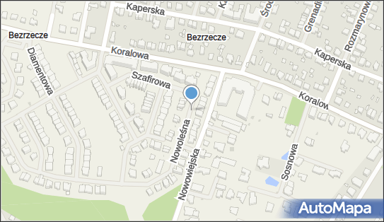 Podziemny, Nowoleśna 4, Bezrzecze 71-219 - Hydrant