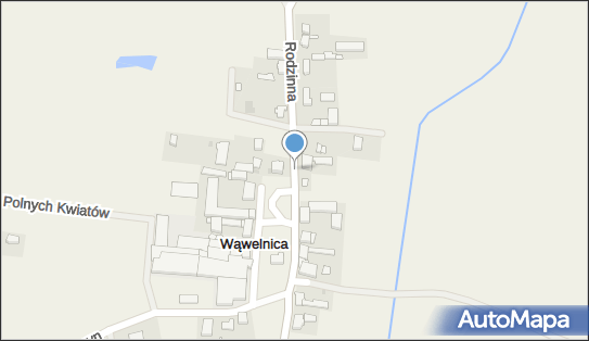 Podziemny, Wąwelnica 15a, Wąwelnica 72-002 - Hydrant