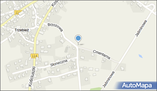 Podziemny, Brzozowa 3, Trzebież 72-020 - Hydrant