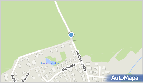 Podziemny, Podbórzańska, Szczecin 71-784 - Hydrant