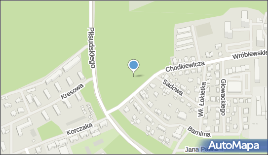 Podziemny, Chodkiewicza Jana Karola, hetm., Police 72-010 - Hydrant
