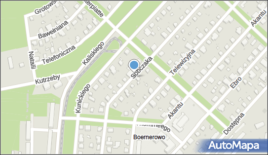 Podziemny, Michała Sobczaka 29, Warszawa 01-478 - Hydrant