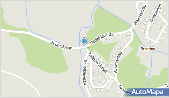 Podziemny, Kazimierza Kalinowskiego, Olsztyn 10-755 - Hydrant