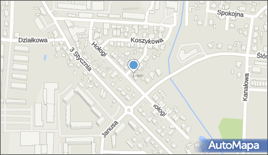 Usługi Instalacyjno Budowlane Edyta i Roman Łyżwa Danuta i Zenon 64-300 - Hydraulik, numer telefonu, NIP: 7880006693