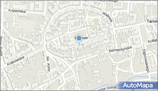 8733095905, Tarnowskie Centrum Informacji w Tarnowie 