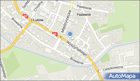 8251004436, Biuro Usług Informatycznych Radosław Bojaczuk w Łukowie 