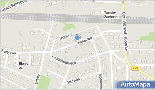 8730020597, Firma Informatyczna 