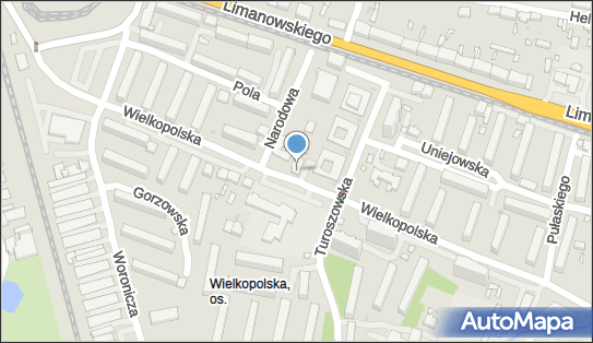 7322163556, IT Auditor sp. z o.o. 