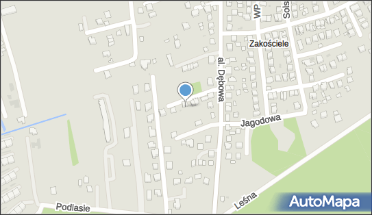 6831968411, Leszek Korytko IT Services 