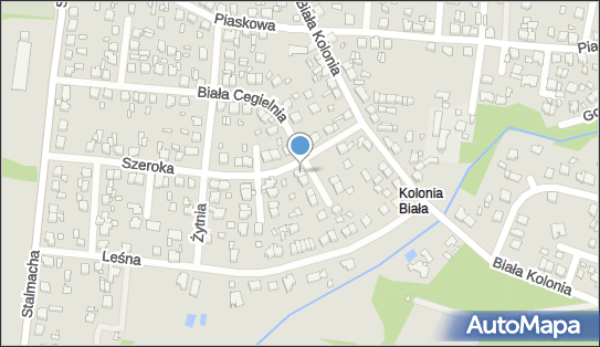 5751703495, webwizard.pl Arkadiusz Maniecki 
