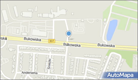 Komisariat Lotniczy Policji Poznań - Ławica, Bukowska 285, Poznań - Inne Jednostki Policji, numer telefonu